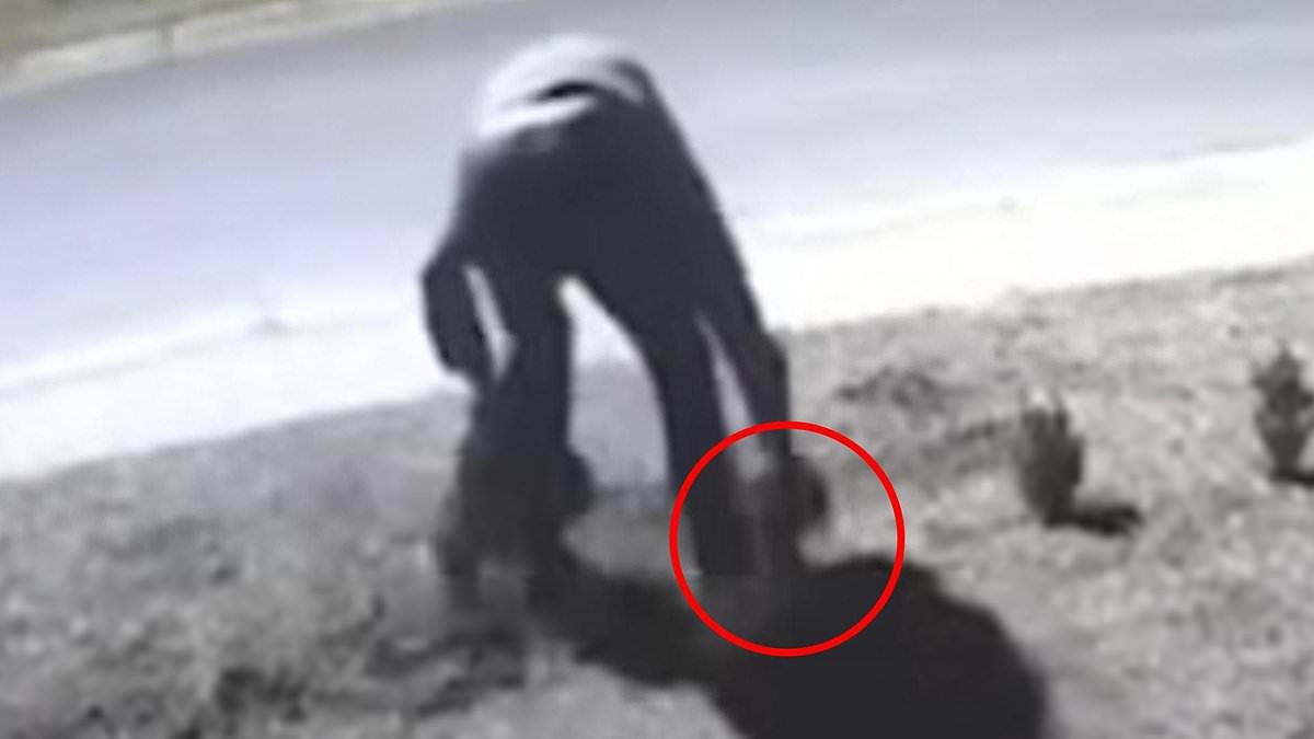 Fed-up homeowner lashes mystery thief over 'dodgy' late-night act