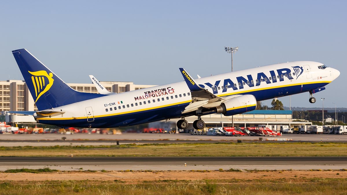 Police storm Ryanair plane arriving in Alicante from UK after 'five passengers cause mid-air chaos'