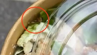 Warning over chicken salad sold by major supermarket after woman finds COCKROACH