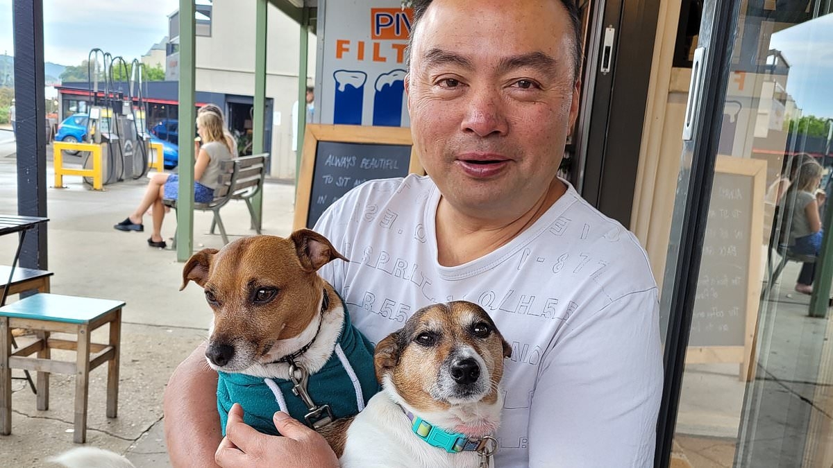 Inside dog owner's bizarre five-year battle to defend his two Jack Russells - as he now risks losing his house after shelling out $100k in legal costs