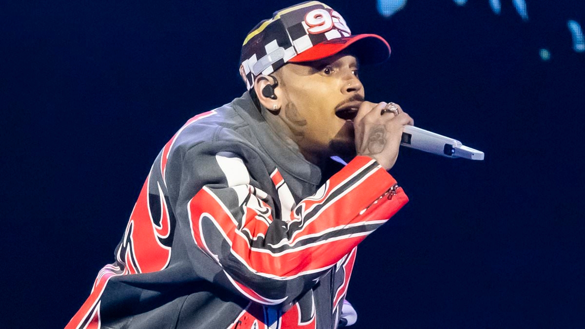 Chris Brown will be able to go on international tour after being granted £2million bail over alleged bottle attack on music producer in a London nightclub