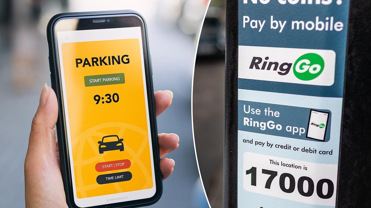 Is paying to park about to get easier? Universal smartphone app arrives - but most drivers prefer cash