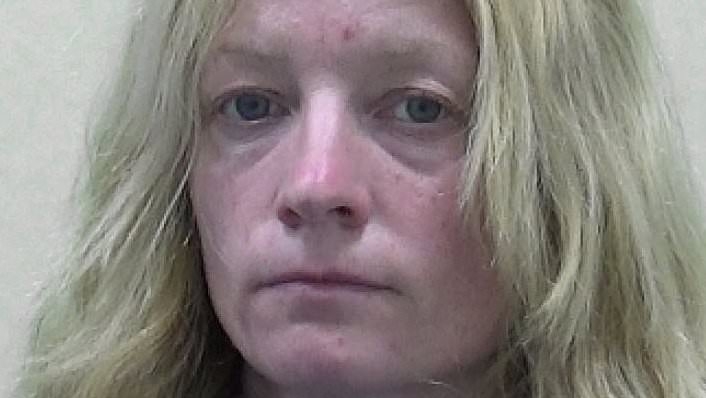 Detective who turned stalker to target her ex by posting lies about him online is spared jail but handed ten-year restraining order