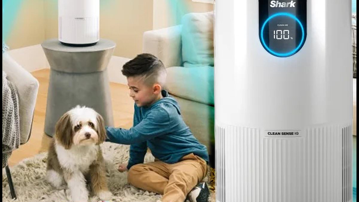 Pet owners and allergy sufferers swear by this Shark air purifier - grab it now on sale for just $134.99 and save even more with this code!