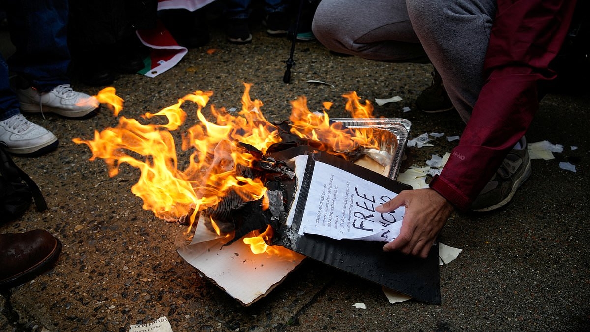 Raging anti-Israel protesters burn their own DIPLOMAS outside Columbia University graduation ceremony