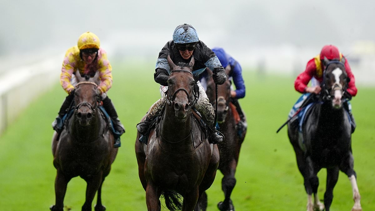 Robin Goodfellow's racing tips: Best bets for Thursday, May 22