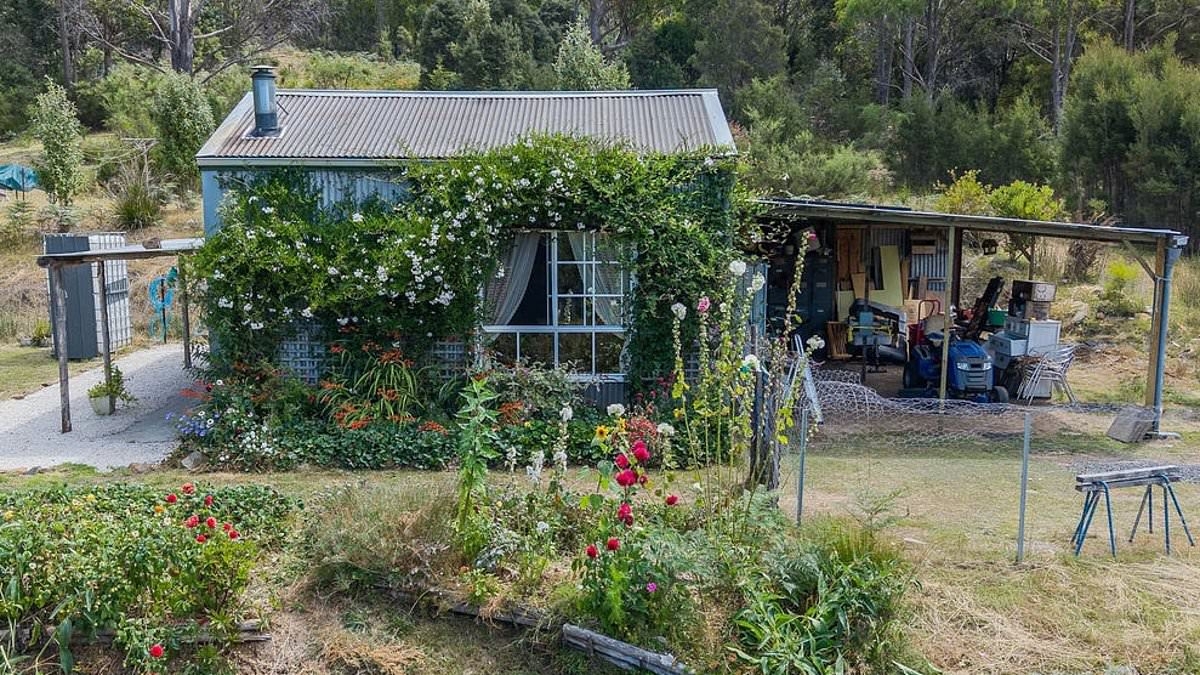 The vine-covered cottage nestled in a picturesque valley that could be YOURS for a very affordable price