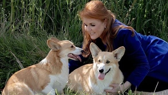 Why Sarah Ferguson is all about the Woo Woo! From telling us that the Queen talks to her through her corgis to her string of spiritual advisors