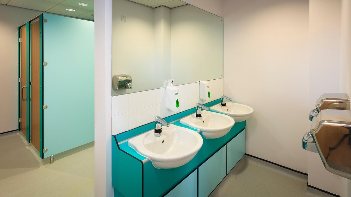 The ultimate guide to public loos: Top hygiene expert reveals why you should never touch anything, why FLUSHING is dangerous and how to avoid a nasty bug