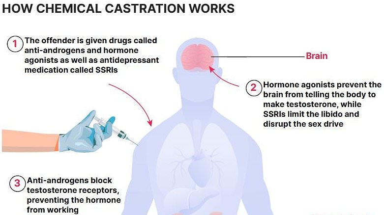 How does chemical castration work? Step-by-step guide to the process - as the UK government plans to roll the treatment out to paedophiles and sex criminals in Britain