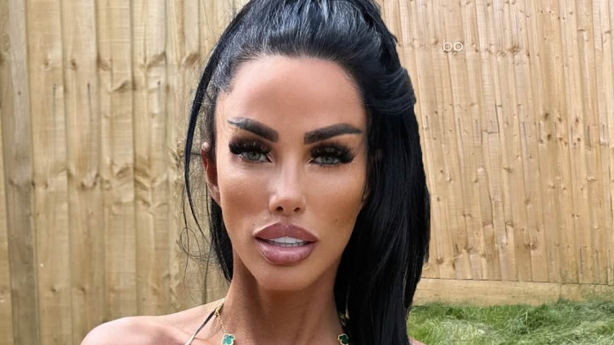 Katie Price models plunging dress as she continues to spark concern with her shrinking appearance