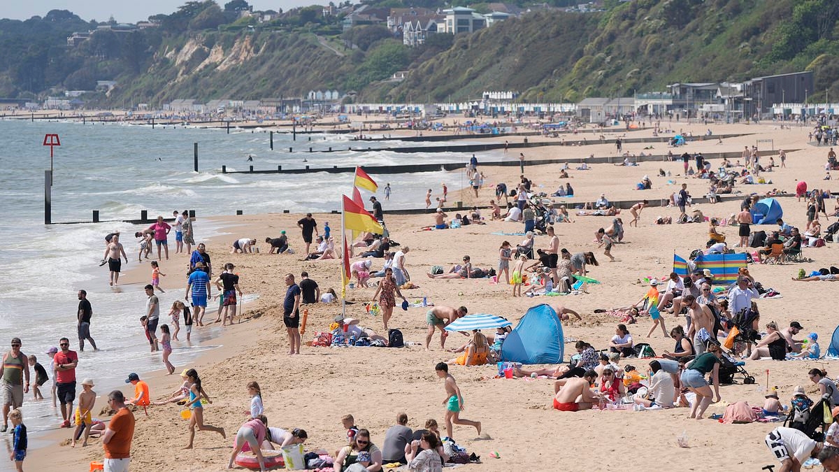 Wild swimmers rejoice! Sea temperatures around the UK and Ireland soar to 4°C above usual - following an 'extreme' marine heatwave