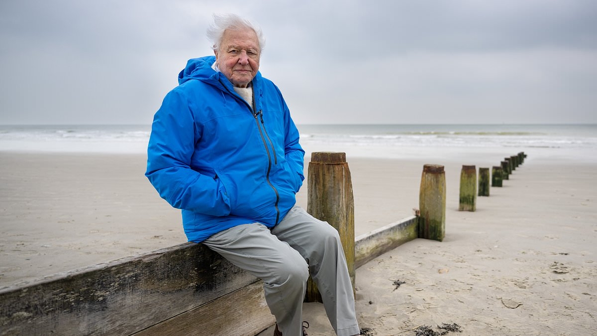 Sir David Attenborough's new film Ocean earns a huge £2.5million at the global box office - becoming the highest grossing documentary of 2025 in landslide achievement