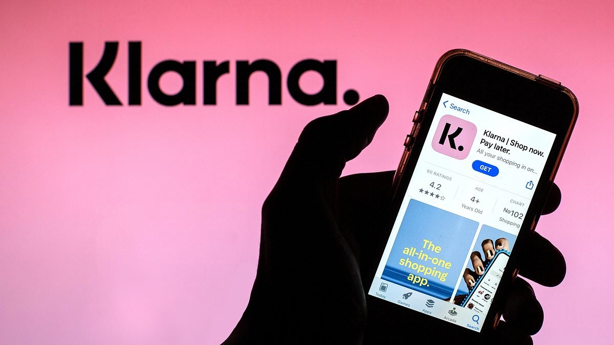 'Buy now, pay later' service Klarna reveals losses as some shopaholics refuse to settle up loans