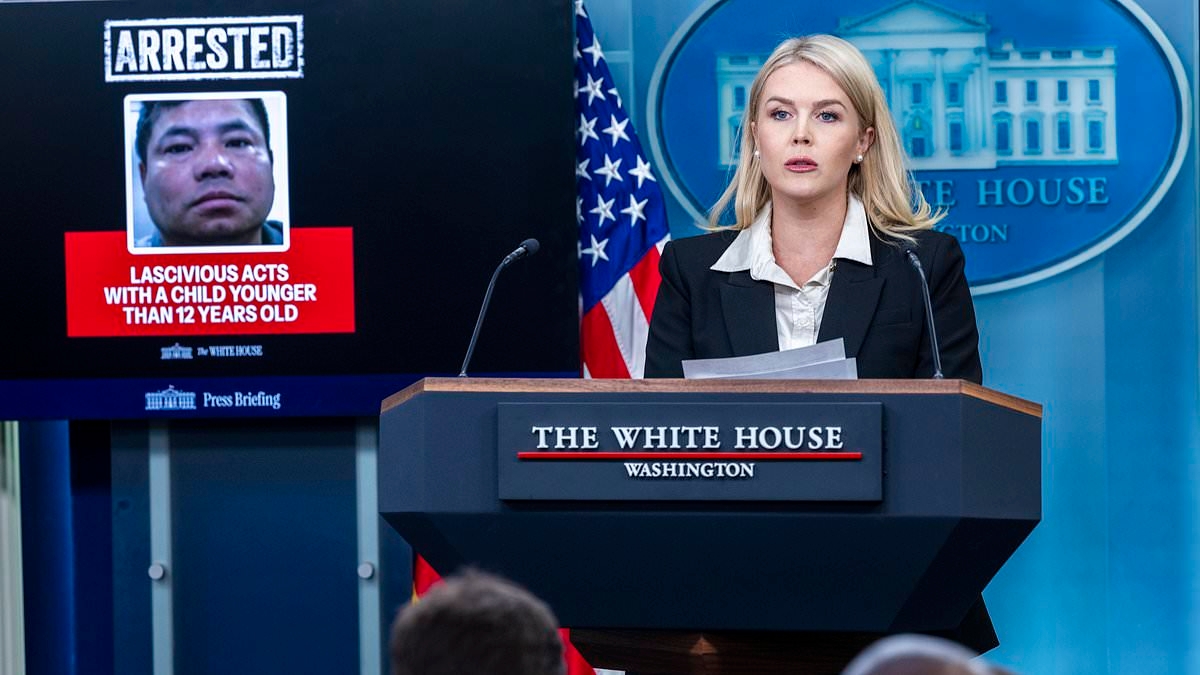 Leavitt's clash with NBC correspondent over alleged 'white genocide'