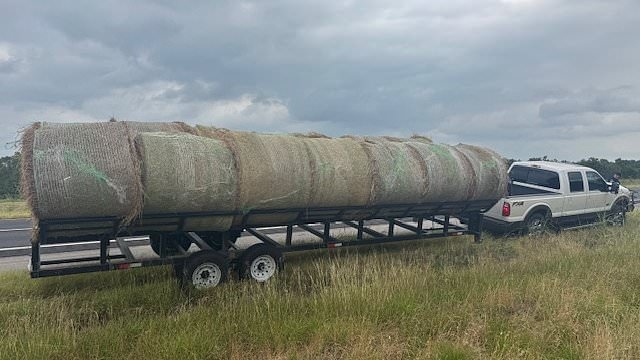 They look like ordinary bales of hay but cops make a VERY surprising discovery during traffic stop