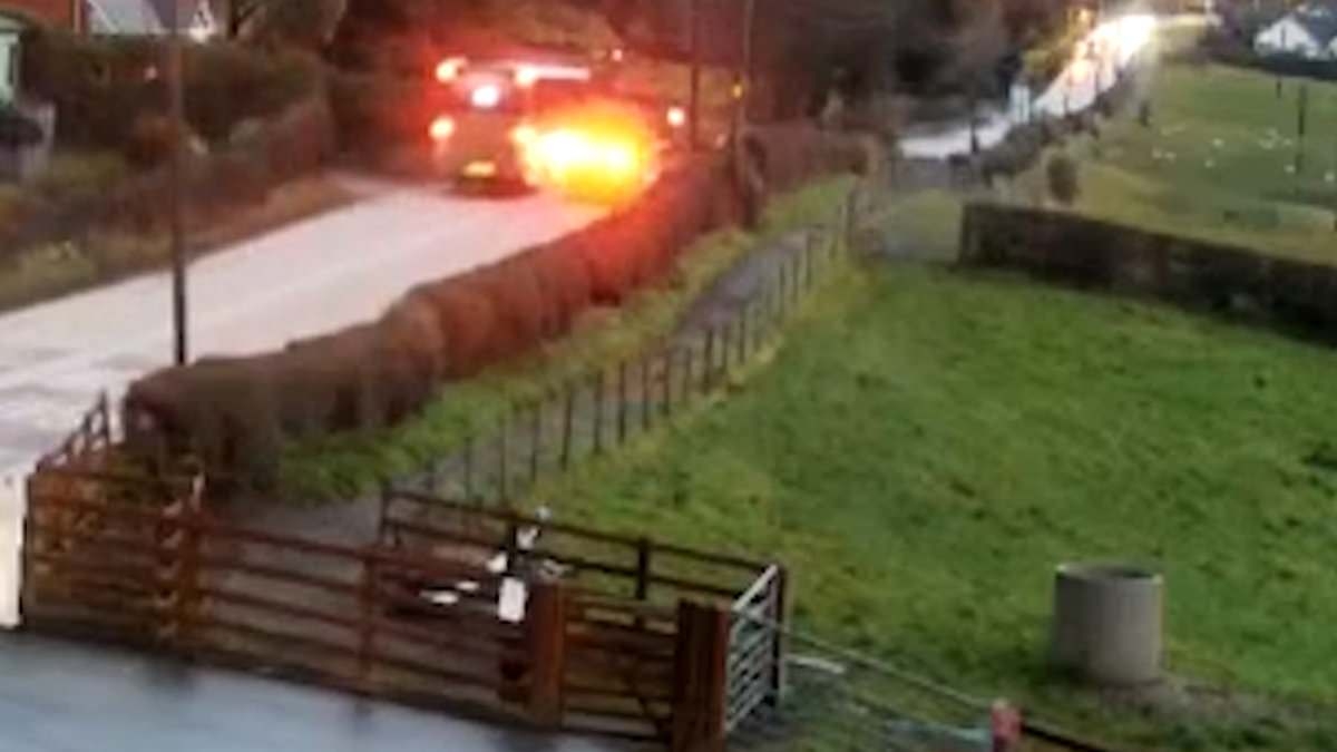 Moment killer driver overtakes bus and ploughs head-on into OAP's car: Man is jailed for smash that killed 87-year-old as she tried to make the short trip to buy her newspaper