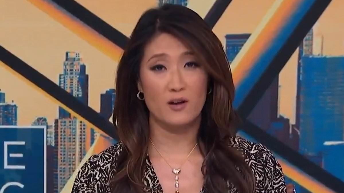 Canceled MSNBC host Katie Phang reveals next shocking move