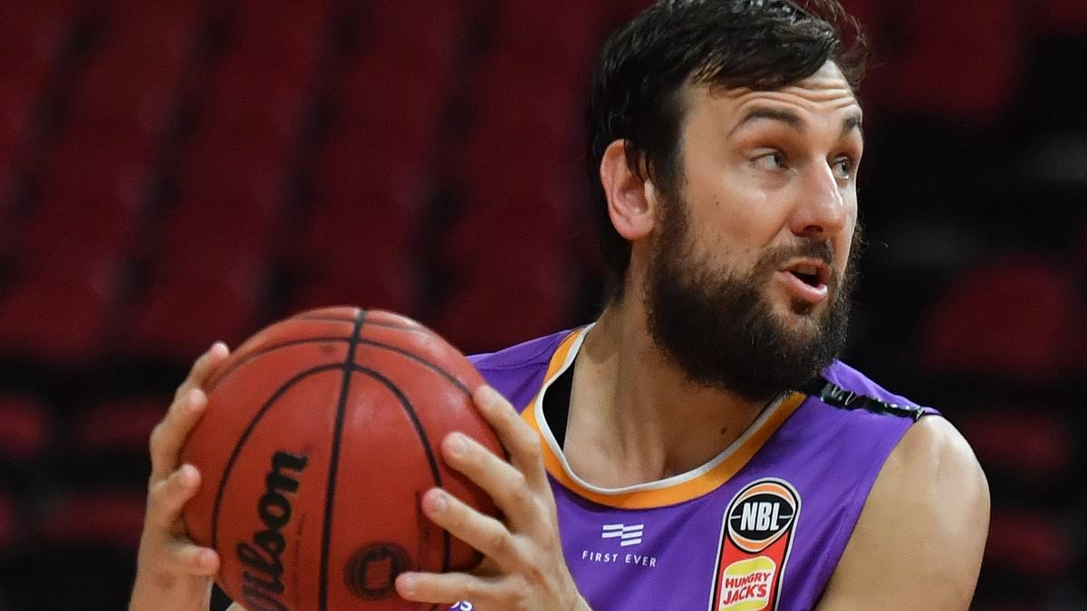 Go inside Aussie NBA great Andrew Bogut's amazing $8million beachside mansion