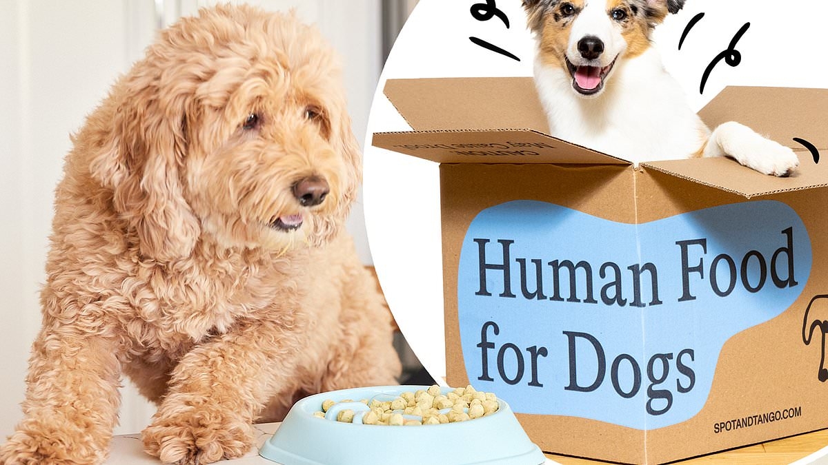 Memorial Day deal gives pet owners 60% off the internet's favorite customized dog food: 'My little guy devoured it right up!'