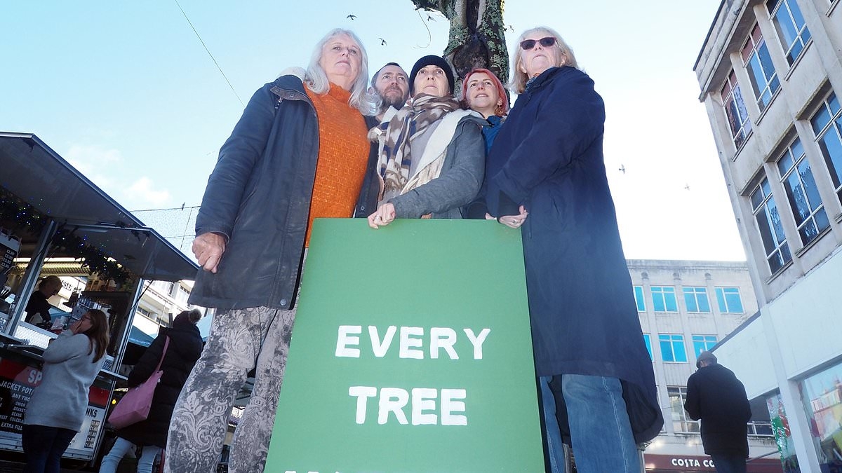 'Chainsaw massacre' that saw 110 trees chopped down in dead of night in city centre without telling anyone cost council at least £3.3m