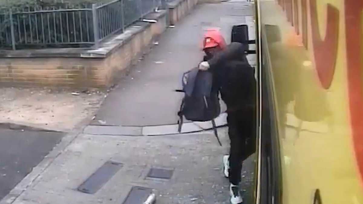 Sickening moment brazen thief smashes his way into ambulance to steal paramedics' rucksacks while they are busy treating a patient