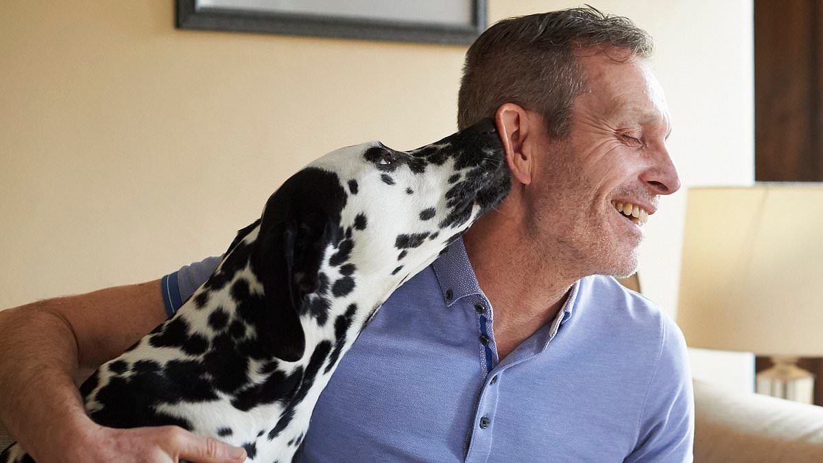Vet explains the real reason dogs wag their tails - and it doesn't always mean they're happy
