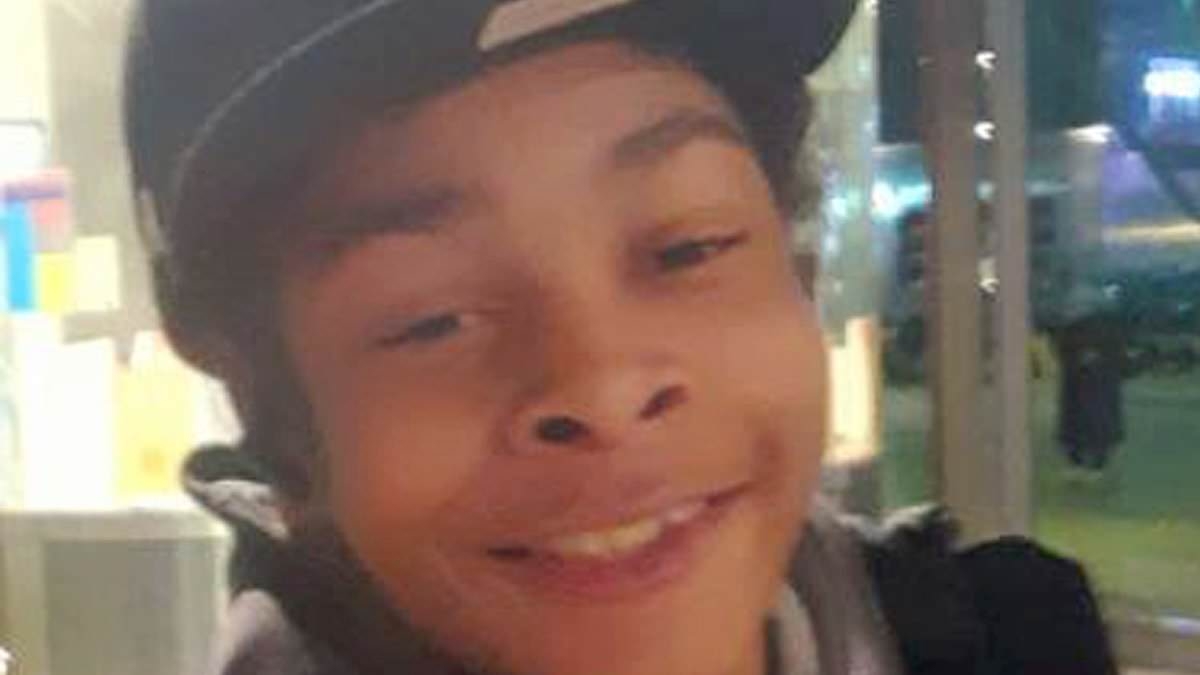 Two boys admit murdering 14-year-old schoolboy in brutal machete attack on London bus in front of horrified passengers