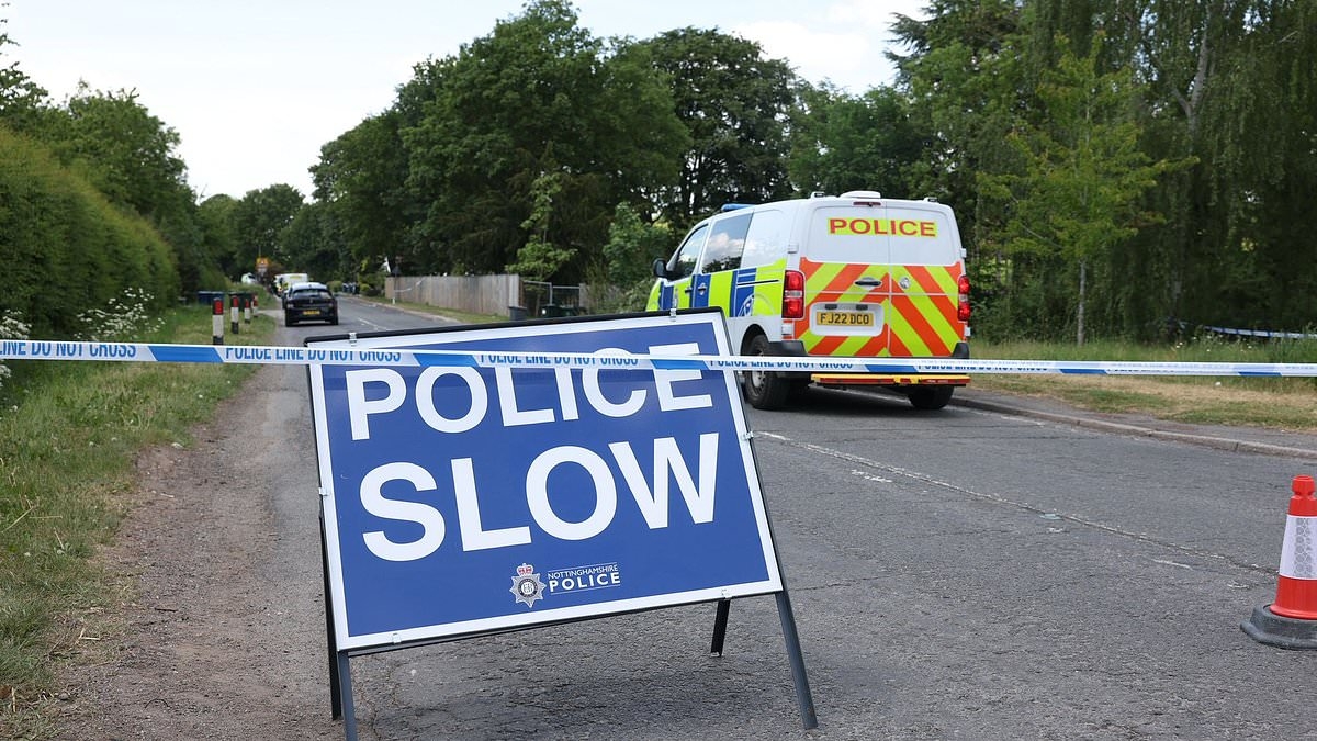 BREAKING NEWS Three men aged 19 to 23 die in crash as police arrest pair in second car for 'death by careless driving'