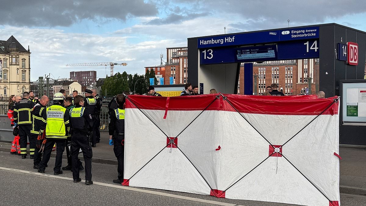 Chilling moment hooded woman, 39, is arrested after 18 were stabbed in Hamburg: 'I heard everyone start screaming' says eye witness