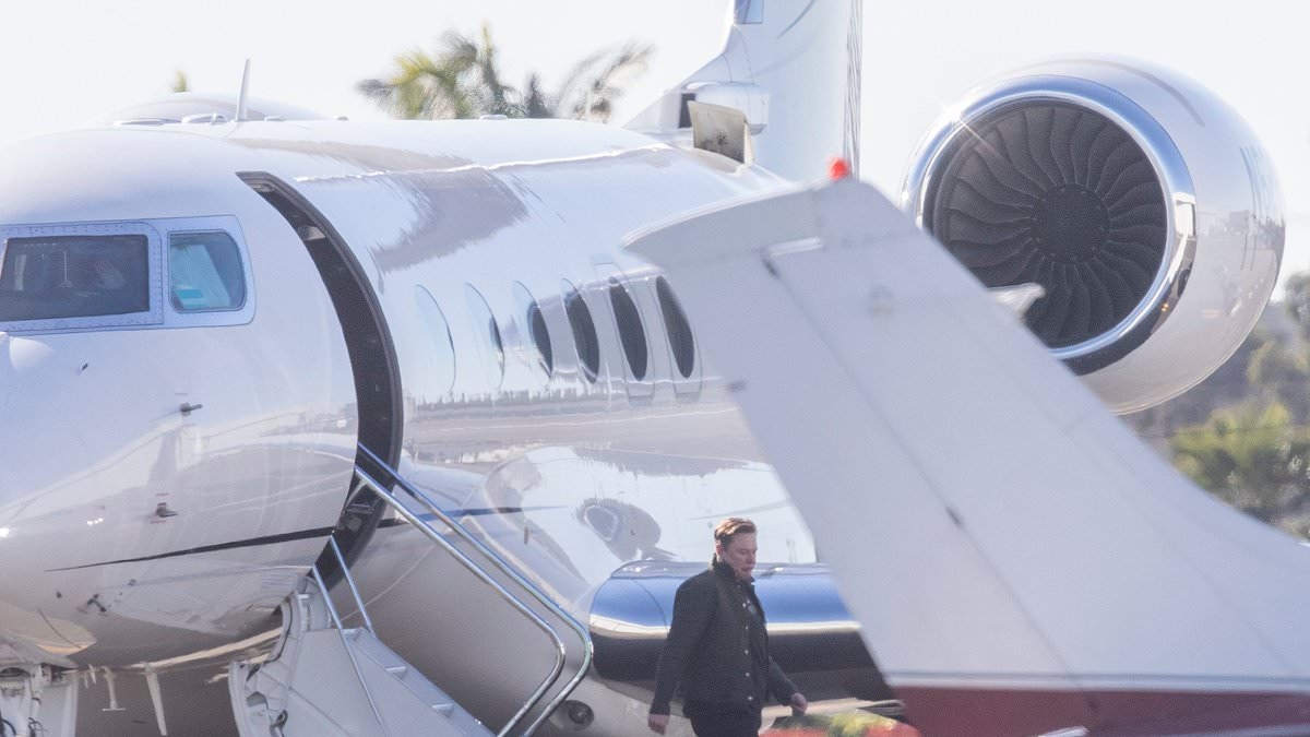 EXCLUSIVE New York's super rich are using private jets like taxis as trips to elite islands just 300 miles away soar