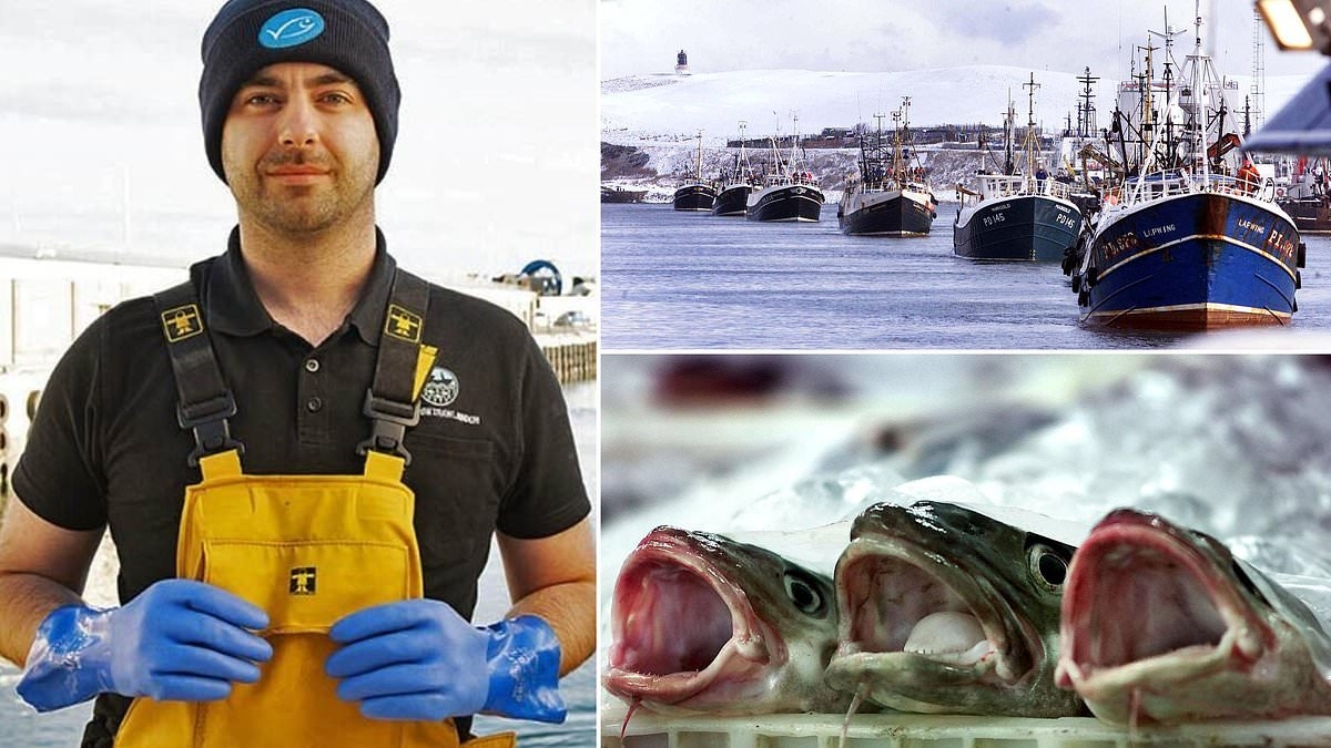 Fishermen pushed to the brink of a cod war that could destroy their livelihoods