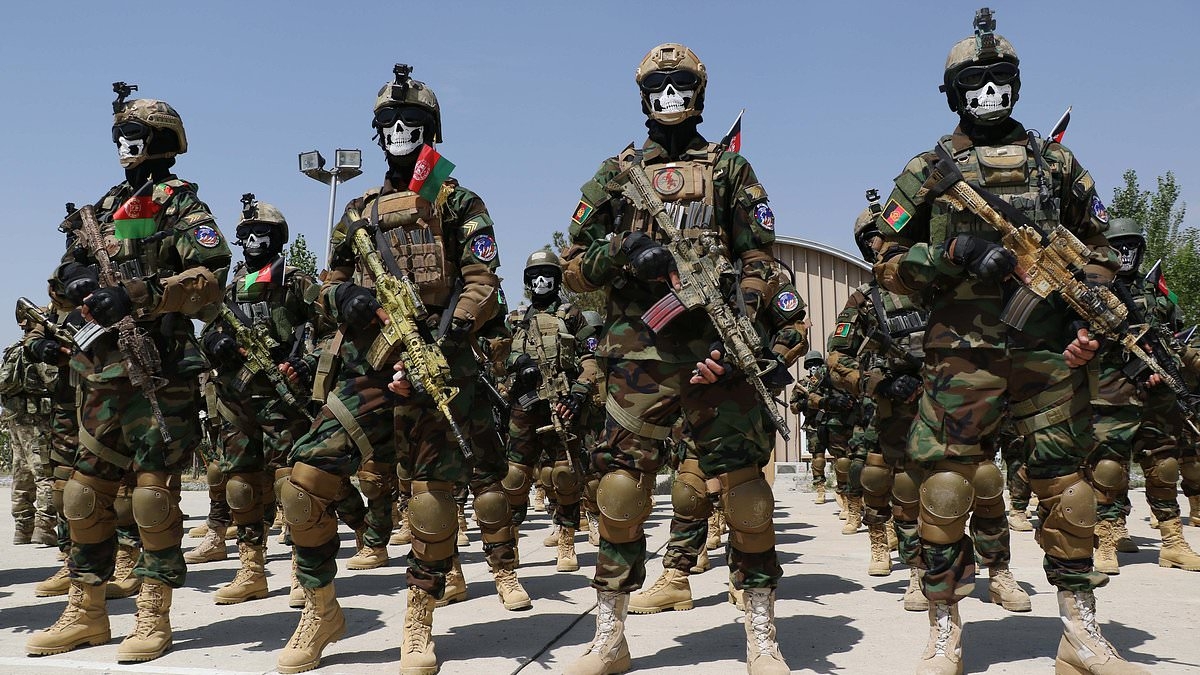 Afghan commandos denied asylum over fears they may have witnessed 'war crimes by British troops' - despite the fact they now face retribution from the Taliban for fighting on our side