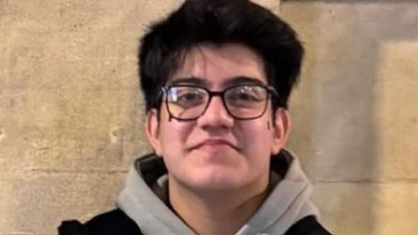 Teenager, 15, is arrested as 16-year-old boy dies at amusement park after suffering medical episode following 'assault'