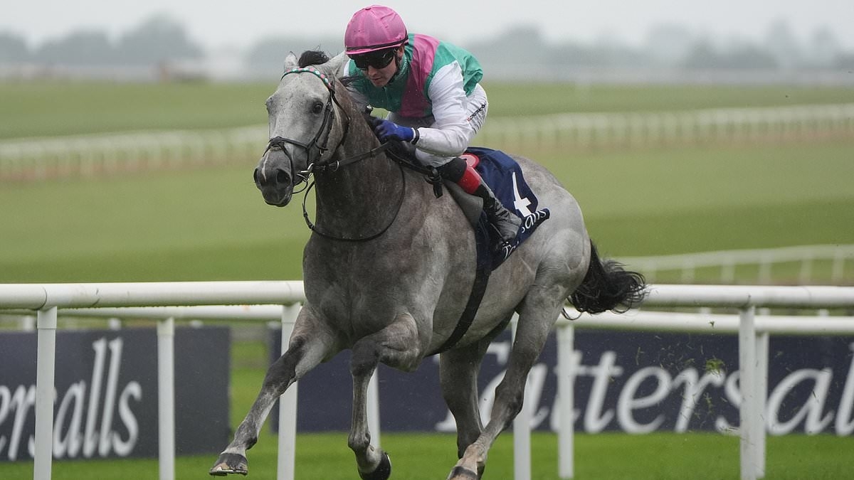 Field of Gold claims Irish 2,000 Guineas crown to atone for British blow - after John and Thady Gosden's prospect faltered at Newmarket