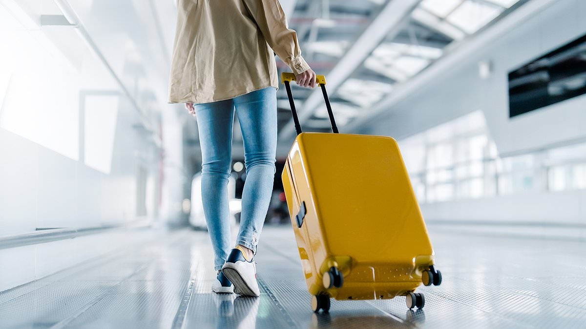 ALEXANDRA SHULMAN'S NOTEBOOK: Will I ever find luggage that I can hold on to?