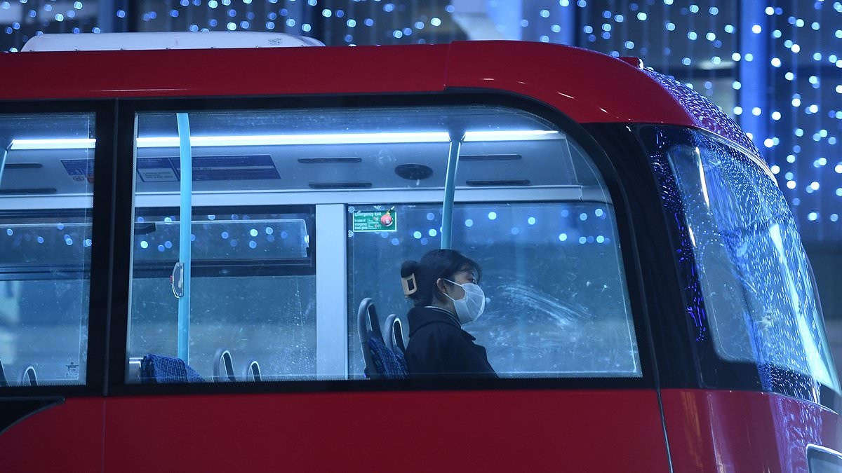 Chance meeting between two epidemiologists on the number 18 bus in London helped save an estimated one million lives during Covid and paved the way for the end of the pandemic