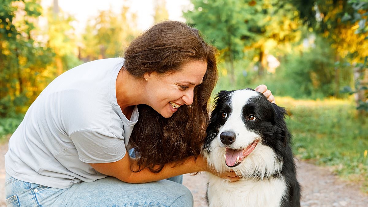 Dog owners who moan about a hard day at the office could be making their pets depressed