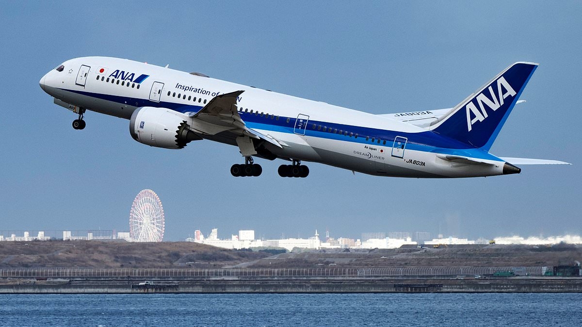 BREAKING NEWS Horror as manic passenger tries to kill all onboard flight to Houston with terrifying move