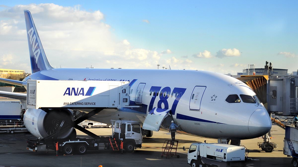 Terror as manic passenger is wrestled to his seat after trying to open emergency exit mid-air