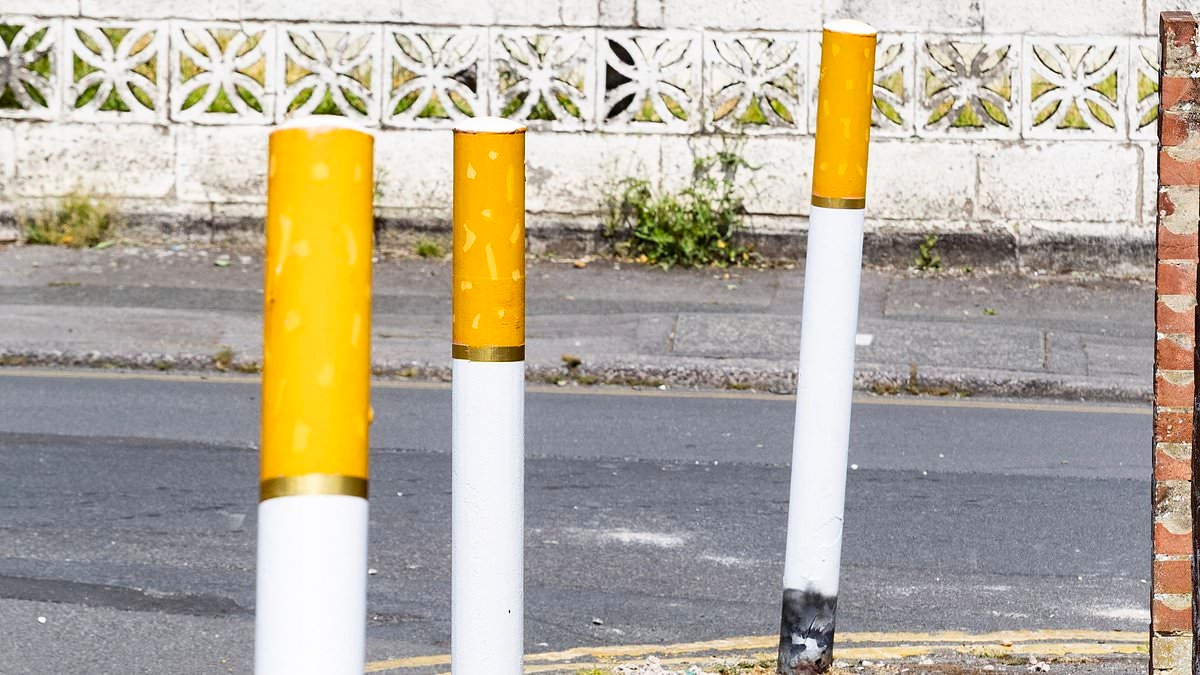 Graffiti artist who transformed bollards into giant cigarettes sparks row and leaves families fuming