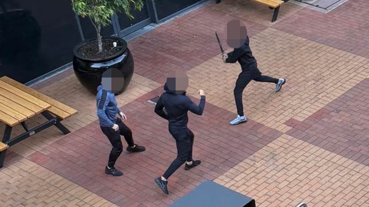 Read the panic-stricken texts from inside Northland Shopping Centre when all hell broke loose in machete gang brawl