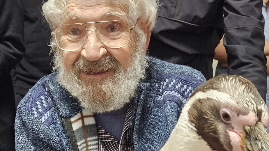 Pick up a penguin! Care home residents visited by the usually arctic animals, who even wandered through the dining room
