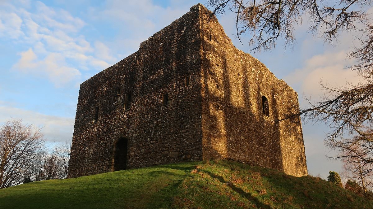 Nighthawkers hunted by police after historic Devon castle is targeted by the illegal late night metal detectorists