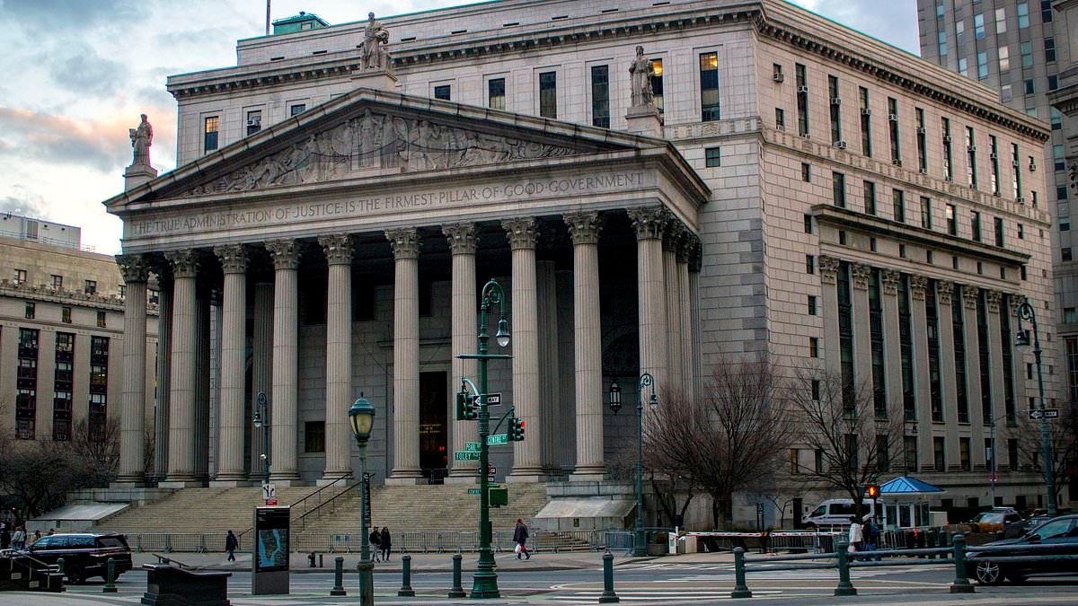 Federal judges want to build a force of armed private security under wild plan to take on Trump
