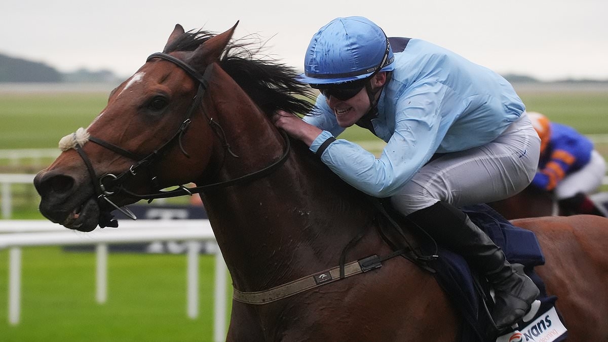 Robin Goodfellow's racing tips: Best bets for Tuesday, May 27