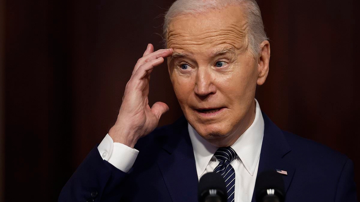 Biden's shadow handlers who allegedly ran the White House revealed