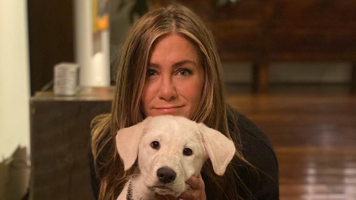 Jennifer Aniston panics after accidentally leaking private detail in since-deleted photo taken at her home