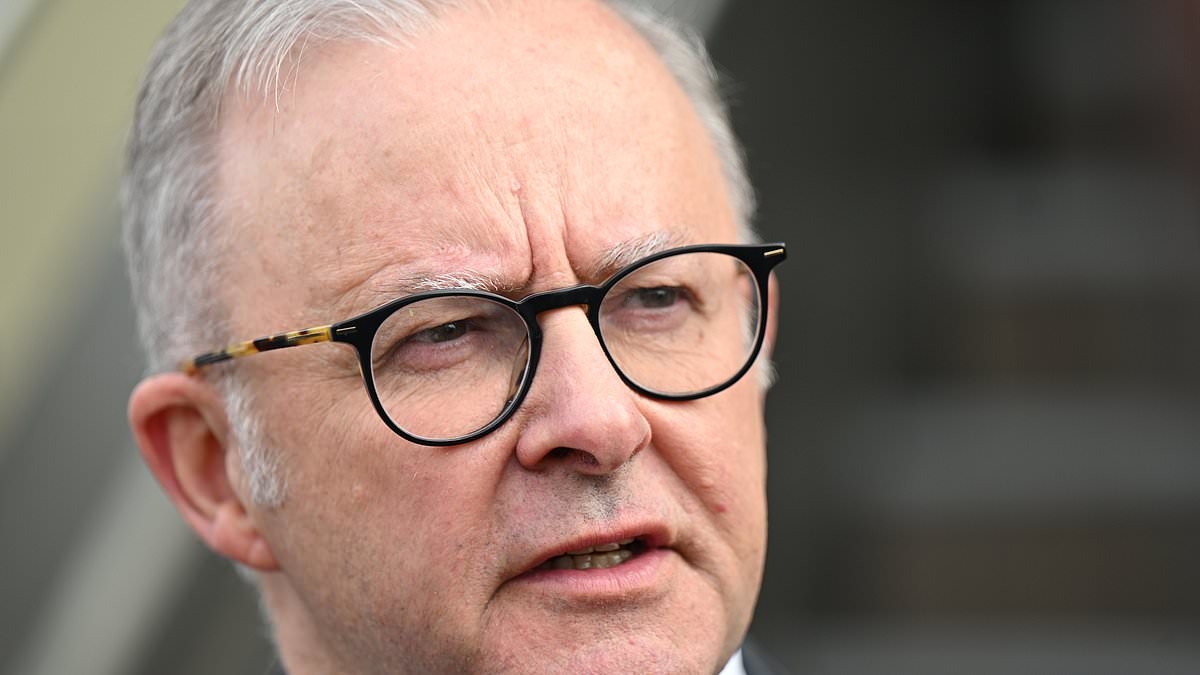 The two issues that could eventually undo Anthony Albanese's landslide win: PETER VAN ONSELEN on the twin drivers of discontent the PM must address before it's too late