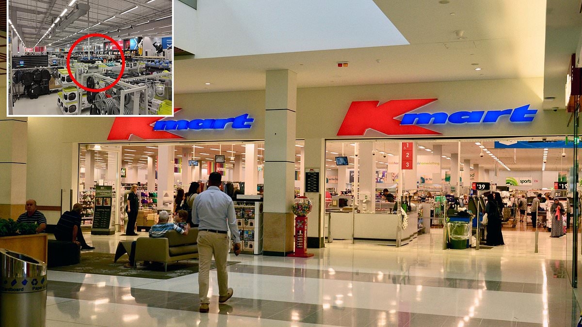 Kmart shoppers go wild over the $5 must-have gadget: 'OMG I need it'